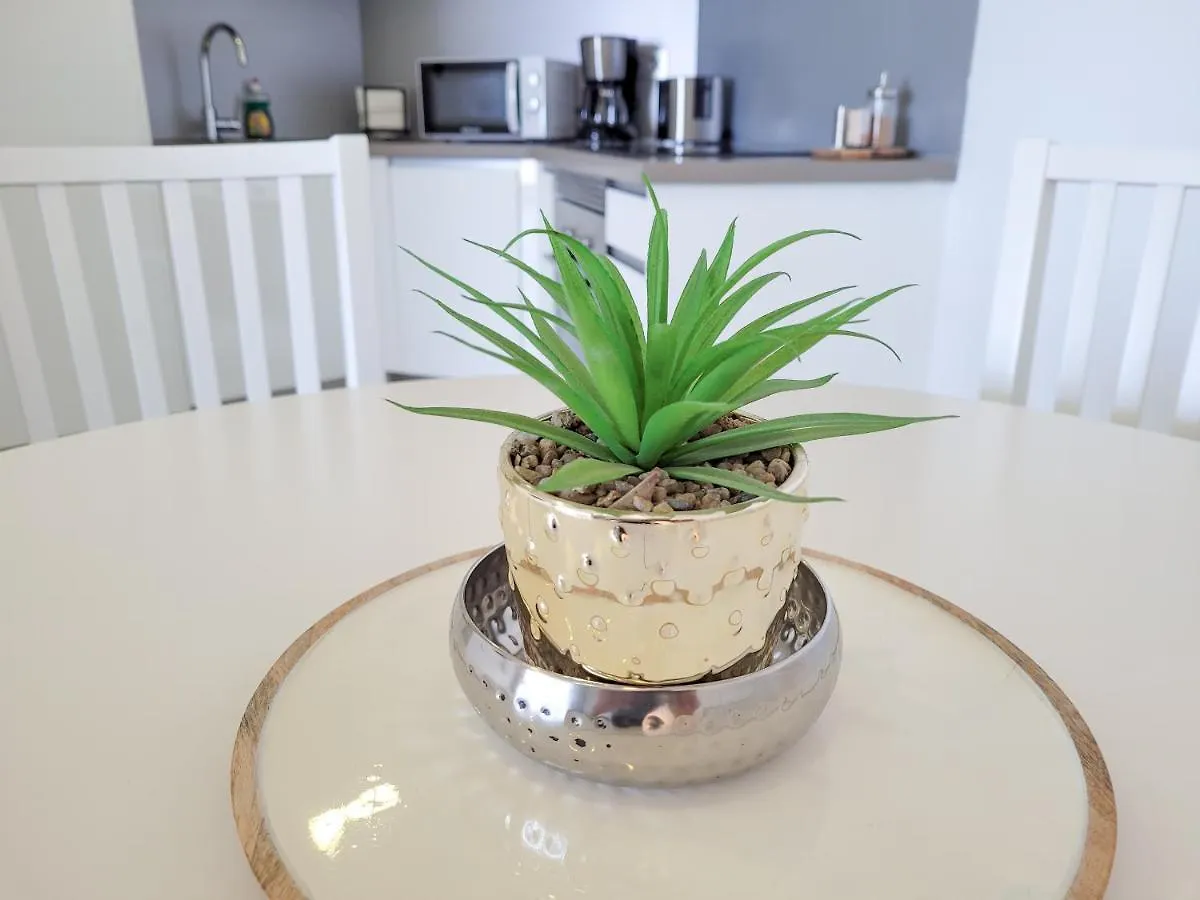 公寓 Ocean Garden Suite 66 阿德耶 西班牙